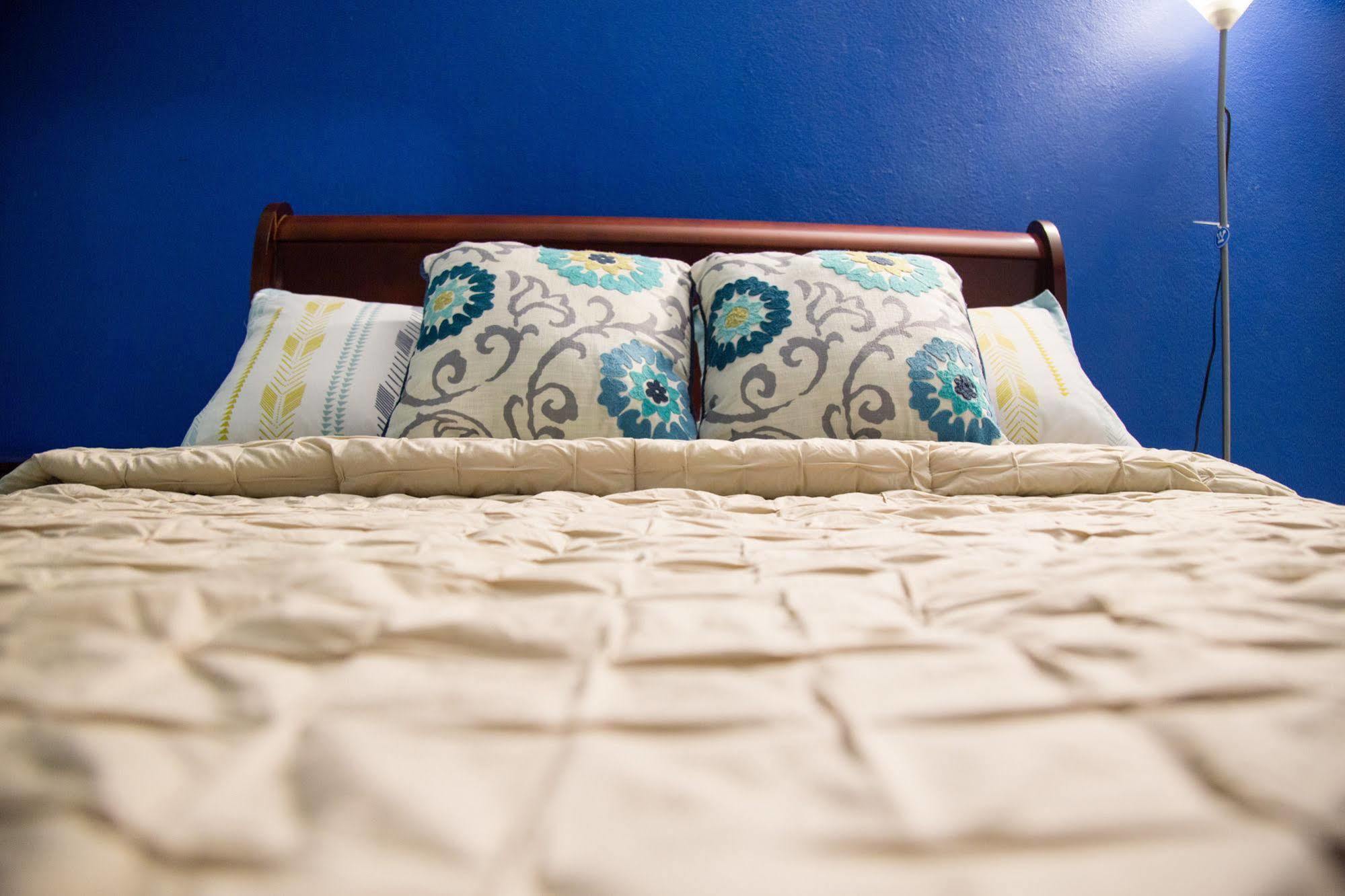 New Kingston Guest Apartment At Westbury Экстерьер фото